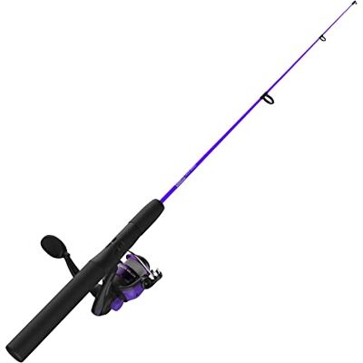 Zebco Dock Demon spinnrulle och fiskespö kombination, 76 cm 1-del glasfiber fiskespön, EVA-spöhandtag, storlek 10 rulle, powertrain drag, förspoled med 2,7 kg -linje, lila Zebco Dock Demon spinnrulle och fiskespö kombination, 76 cm 1-del glasfiber fiskespön, EVA-spöhandtag, storlek 10 rulle, powertrain drag, förspoled med 2,7 kg -linje, lila