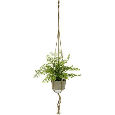Flair Flower Konstgjord kvinnlig hårfärg i hängande ampel konstväxt prydnadsväxt växt grönväxt hängande blomblomma för att hänga skogsfärger färgbusch krukväxt ojämn mögel mögel stum konstblomma Flair Flower Konstgjord kvinnlig hårfärg i hängande ampel konstväxt prydnadsväxt växt grönväxt hängande blomblomma för att hänga skogsfärger färgbusch krukväxt ojämn mögel mögel stum konstblomma