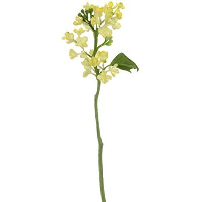 Express Flor 4 Konstgjorda lila 33 cm Gul, 8435011701639 Express Flor 4 Konstgjorda lila 33 cm Gul, 8435011701639