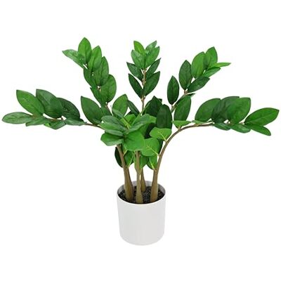 Flair Flower Konstgjord växt Zamioculcas i kruka 56 cm konstgjord växt inomhusväxt tropisk rot lyckofjäder Zamiifolia grön växt blomma blomkruka ormbunke palm ormbunke palm ormbunke konstträd Flair Flower Konstgjord växt Zamioculcas i kruka 56 cm konstgjord växt inomhusväxt tropisk rot lyckofjäder Zamiifolia grön växt blomma blomkruka ormbunke palm ormbunke palm ormbunke konstträd