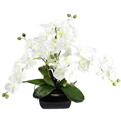 Flair Flower Orchide i grytan, vit, 40 x 36 x 36 cm Flair Flower Orchide i grytan, vit, 40 x 36 x 36 cm
