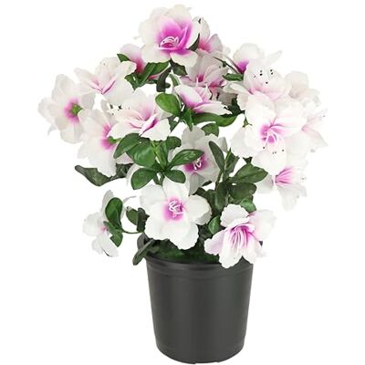 Flair Flower Konstgjord blomma azalea i kruka 29 cm rhododendron, blommor, konstgjord sidenblomma, dekorativ blomma, blomblomma, blomdekor, krukväxt, blommande växt, blomma, konstgjord växt, blomdekoration, Flair Flower Konstgjord blomma azalea i kruka 29 cm rhododendron, blommor, konstgjord sidenblomma, dekorativ blomma, blomblomma, blomdekor, krukväxt, blommande växt, blomma, konstgjord växt, blomdekoration,