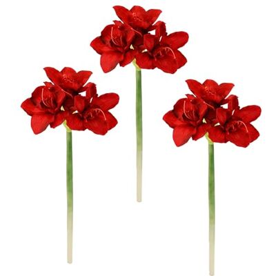 Flair Flower Flair Blomma konst stamblomma amaryllis konstgjord verklighetstrogen blomma sidenblomma textilblommor bröllopsdekoration konstgjorda blommor gren bordsdekoration vinterdekoration blomster, vit, 65 x Flair Flower Flair Blomma konst stamblomma amaryllis konstgjord verklighetstrogen blomma sidenblomma textilblommor bröllopsdekoration konstgjorda blommor gren bordsdekoration vinterdekoration blomster, vit, 65 x