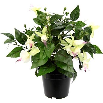 Flair Flower Konstgjord prydnadsväxt fuchsior i kruka konstgjord växt inomhusväxt blommor konstgjorda blommor sidenblommor oäkta dekoration falska dubbla blomblad krukväxt Hybrida Hort Flores Flair Flower Konstgjord prydnadsväxt fuchsior i kruka konstgjord växt inomhusväxt blommor konstgjorda blommor sidenblommor oäkta dekoration falska dubbla blomblad krukväxt Hybrida Hort Flores