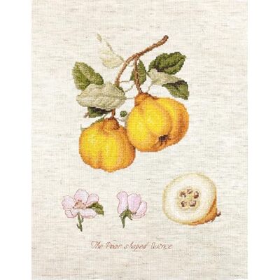 Luca-S BA22430 korsstygnsset, flerfärgad, 18,5 x 25 cm Luca-S BA22430 korsstygnsset, flerfärgad, 18,5 x 25 cm