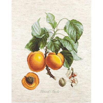 Luca-S BA22450 korsstygnssats, flerfärgad, 32 x 26 cm Luca-S BA22450 korsstygnssats, flerfärgad, 32 x 26 cm
