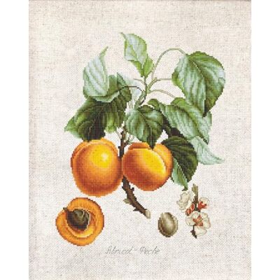 Luca-S BL22440 korsstygnssats, flerfärgad, 16,5 x 22 cm Luca-S BL22440 korsstygnssats, flerfärgad, 16,5 x 22 cm