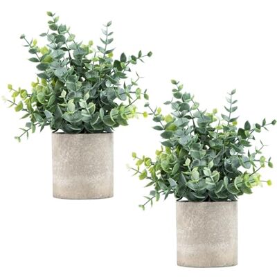 Coferset 2-pack konstgjorda eukalyptus mini krukväxter falska sprayade eukalyptusväxt i krukor små husväxter för hemmakontor skrivbord rum dekor (eukalyptus, 2) Coferset 2-pack konstgjorda eukalyptus mini krukväxter falska sprayade eukalyptusväxt i krukor små husväxter för hemmakontor skrivbord rum dekor (eukalyptus, 2)