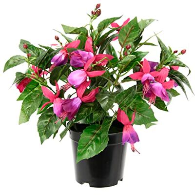 Flair Flower Konstgjord prydnadsväxt, fuchsior i kruka, konstgjord växt, inomhusväxt, blommor, konstgjorda blommor, sidenblommor, oäkta dekoration, falska dubbla blomblad, krukväxt, hybrida, Hort Flores Flair Flower Konstgjord prydnadsväxt, fuchsior i kruka, konstgjord växt, inomhusväxt, blommor, konstgjorda blommor, sidenblommor, oäkta dekoration, falska dubbla blomblad, krukväxt, hybrida, Hort Flores