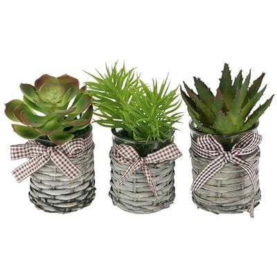 Flair Flower Konstgjorda suckulenter i kruka, set om 3, 15 cm, agave aloe vera, växt, konstgjord kaktus, kaktus, växtdekoration, huvudduk, kalanchoe, grön växt, inomhusväxt, bordsväxt, konstgjord växt Flair Flower Konstgjorda suckulenter i kruka, set om 3, 15 cm, agave aloe vera, växt, konstgjord kaktus, kaktus, växtdekoration, huvudduk, kalanchoe, grön växt, inomhusväxt, bordsväxt, konstgjord växt