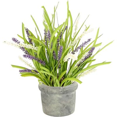 Flair Flower Konstgjord lavendellinning i kruka, lavendel, konstgjord blomma, konstgjord växt, växt, dekoration, kök, oäkta balkongväxt, trädgård, fest, bröllop, bordsdekoration, lavendelblomma, grenar, blomma, Flair Flower Konstgjord lavendellinning i kruka, lavendel, konstgjord blomma, konstgjord växt, växt, dekoration, kök, oäkta balkongväxt, trädgård, fest, bröllop, bordsdekoration, lavendelblomma, grenar, blomma,