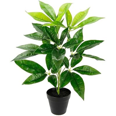 Flair Flower Konstgjord växt Schefflera i kruka sidenblommor verklig touch konstgjorda växter inomhusväxter grönväxt sidenblommor bladväxt strålaralia, ca 50 x 28 x 28 cm, 021141GN Flair Flower Konstgjord växt Schefflera i kruka sidenblommor verklig touch konstgjorda växter inomhusväxter grönväxt sidenblommor bladväxt strålaralia, ca 50 x 28 x 28 cm, 021141GN
