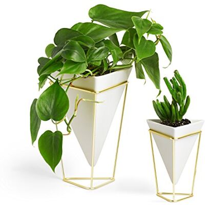Umbra – 1004372-524 Trigg skrivbord planteringsvas och geometrisk behållare – för suckulent, luft, mini kaktus, fuskväxter och mer, skrivbord, vit/mässing Umbra – 1004372-524 Trigg skrivbord planteringsvas och geometrisk behållare – för suckulent, luft, mini kaktus, fuskväxter och mer, skrivbord, vit/mässing