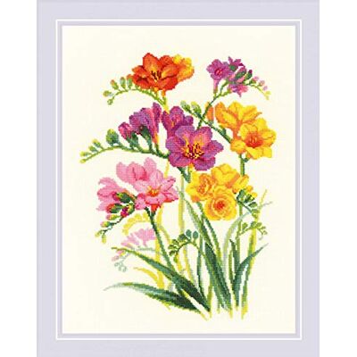 Riolis Räknad korsstygn doftande fresias 25 cm x 33 cm 18 varvtal Riolis Räknad korsstygn doftande fresias 25 cm x 33 cm 18 varvtal