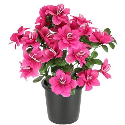 Flair Flower Flair Blomma konstgjord blomma azalea i kruka 29 cm rhododendron, blommor, konstgjord sidenblomma, dekorativ blomma, blomblomma, blomdekoration, bordsdekoration, azalea Flair Flower Flair Blomma konstgjord blomma azalea i kruka 29 cm rhododendron, blommor, konstgjord sidenblomma, dekorativ blomma, blomblomma, blomdekoration, bordsdekoration, azalea