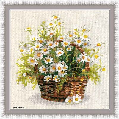 Riolis - Stickbild-Set Motiv russische Daisies - Grön - Korsstygnsset Riolis - Stickbild-Set Motiv russische Daisies - Grön - Korsstygnsset