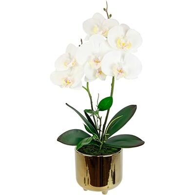 Flair Flower Konstgjord blomma fjärilsorkidé med blad och luftrötter i kruka av keramik konstgjord blomma konst orkidé phalaenopsis med ytterkruka konstgjord växt bröllop dekoration sidenblomma äkta touch blomma Flair Flower Konstgjord blomma fjärilsorkidé med blad och luftrötter i kruka av keramik konstgjord blomma konst orkidé phalaenopsis med ytterkruka konstgjord växt bröllop dekoration sidenblomma äkta touch blomma