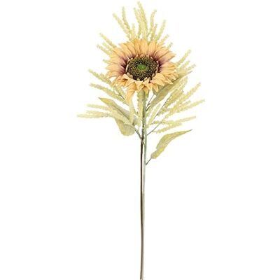 Flair Flower Konstgjorda blommor solros Astilbe set om 2 stycken 80 cm sidenblomma stjälkblommor sortiment konstgjorda enskilda blommor som äkta för vas höstgren höstblommor höstdekoration höstblomma dekorativ Flair Flower Konstgjorda blommor solros Astilbe set om 2 stycken 80 cm sidenblomma stjälkblommor sortiment konstgjorda enskilda blommor som äkta för vas höstgren höstblommor höstdekoration höstblomma dekorativ