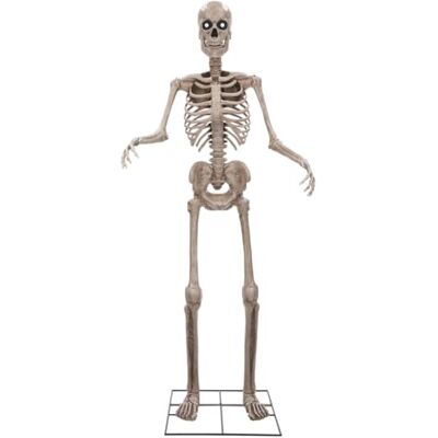 Riethmüller Animatronic XXL Skelett 243 cm – Halloween dekoration inomhus – fest, gotisk figur naturlig storlek – animerad, LED-ögon, rörlig käke, ljud och rörelsesensor – 3 språk Riethmüller Animatronic XXL Skelett 243 cm – Halloween dekoration inomhus – fest, gotisk figur naturlig storlek – animerad, LED-ögon, rörlig käke, ljud och rörelsesensor – 3 språk