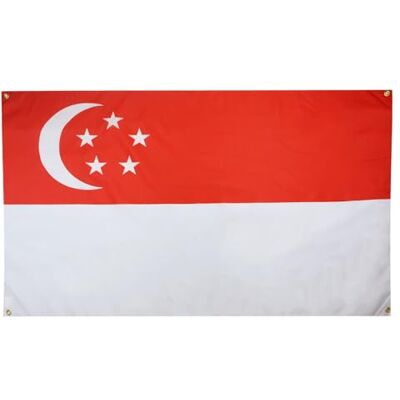 AZ FLAG Flagga Singapore 150x90 cm Singaporiansk Lätt Polyester 4 Öljetter Inomhusbruk dekorativ flagga dubbelsydda sömmar och förstärkta kanter med metallöljetter AZ FLAG Flagga Singapore 150x90 cm Singaporiansk Lätt Polyester 4 Öljetter Inomhusbruk dekorativ flagga dubbelsydda sömmar och förstärkta kanter med metallöljetter