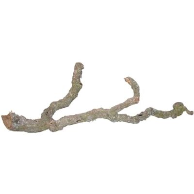 Lucky Reptile 64138 "Tronchos korkast 90–120 cm Lucky Reptile 64138 "Tronchos korkast 90–120 cm