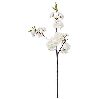 EUROCINSA Ref.90438C01 EREMURUS vit med grön, låda med 12 stycken, 90 cm EUROCINSA Ref.90438C01 EREMURUS vit med grön, låda med 12 stycken, 90 cm
