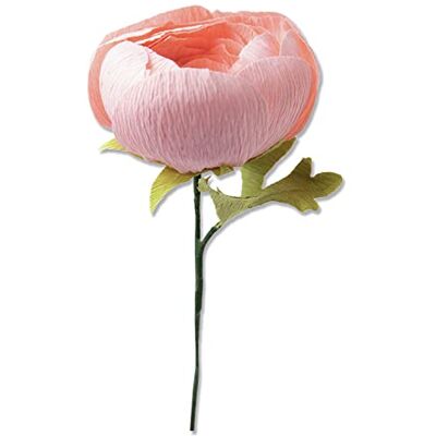 Sizzix Thinlits Flower Making Collection Die Set 5PK, Ranunculus, en storlek Sizzix Thinlits Flower Making Collection Die Set 5PK, Ranunculus, en storlek