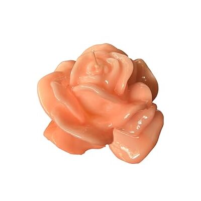 Cereria Di Giorgio Lackerat rosenljus Puderfärg Diameter 9 cm Höjd 4,5 cm Presentpåse Hantverk Cereria Di Giorgio Lackerat rosenljus Puderfärg Diameter 9 cm Höjd 4,5 cm Presentpåse Hantverk