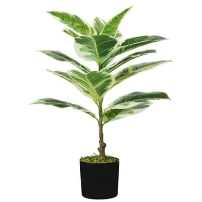 Wintem Konstgjord elastisk polyeten Ficus växt med 15 blad, 65 cm, kruka med mossa, dekorativ växt inomhus Wintem Konstgjord elastisk polyeten Ficus växt med 15 blad, 65 cm, kruka med mossa, dekorativ växt inomhus