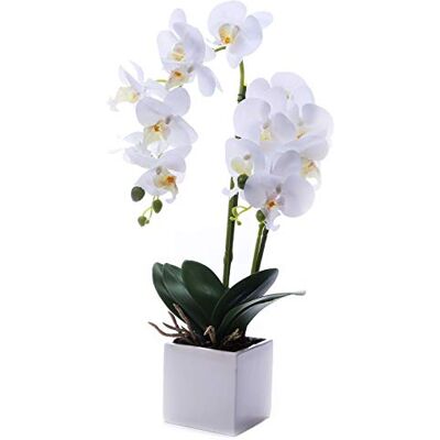 GXLMII LEEMAN Konstgjord naturtrogen äkta känsla blomsterarrangemang phalaenopsis bonsai orkidé miniascape heminredning (vit 535) GXLMII LEEMAN Konstgjord naturtrogen äkta känsla blomsterarrangemang phalaenopsis bonsai orkidé miniascape heminredning (vit 535)
