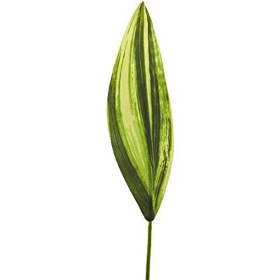 Express Flor 6 72cm Artificiell Dracaena blad Grön (8435011788623) Express Flor 6 72cm Artificiell Dracaena blad Grön (8435011788623)
