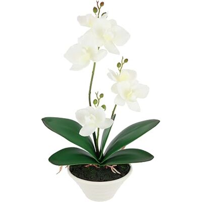 Flair Flower Konstorkidé rosa 30 cm i kruka – realistisk konstgjord orkidé med blommor och knoppar phalaenopsis konstgjord växt – lättskött dekorativ växt för vardagsrum, kontor och badrum Flair Flower Konstorkidé rosa 30 cm i kruka – realistisk konstgjord orkidé med blommor och knoppar phalaenopsis konstgjord växt – lättskött dekorativ växt för vardagsrum, kontor och badrum