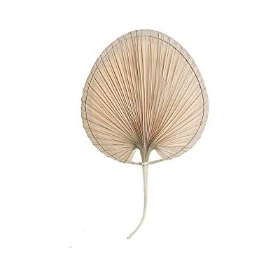 DKD Home Decor Dekorativ figur, Standard DKD Home Decor Dekorativ figur, Standard