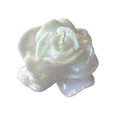Cereria Di Giorgio Lackerat rosenljus molnvit färg diameter 9 cm höjd 4,5 cm presentpåse hantverk Cereria Di Giorgio Lackerat rosenljus molnvit färg diameter 9 cm höjd 4,5 cm presentpåse hantverk