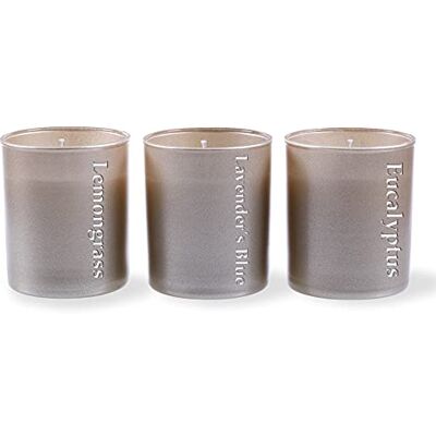 Candellana Stor mässing, set med tre doftljus, 8 x 10 cm, europeiskt vax, naturlig bomullsveke, anti-mygg, citrongräs, lavender, eukalyptus, återvinningsbar Candellana Stor mässing, set med tre doftljus, 8 x 10 cm, europeiskt vax, naturlig bomullsveke, anti-mygg, citrongräs, lavender, eukalyptus, återvinningsbar