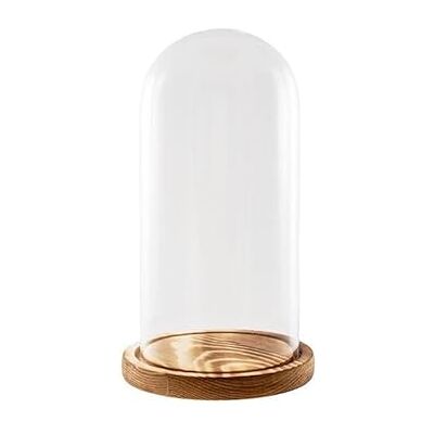 DRW Transparent Crystal Fanal med trä Pit 15X15X26 CM DRW Transparent Crystal Fanal med trä Pit 15X15X26 CM