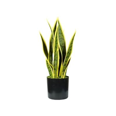 Wintem Konstgjord sansevieria polyeten växt med 12 blad, höjd 45 cm, konstväxt, inomhusväxt, kruka med mossa Ø 12,5 x 11,5 cm, heminredning Wintem Konstgjord sansevieria polyeten växt med 12 blad, höjd 45 cm, konstväxt, inomhusväxt, kruka med mossa Ø 12,5 x 11,5 cm, heminredning