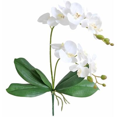 Elyjhyy Jasming Artificial Phaleanopsis Flowers Fake Orchids Leaves Branches for Home Bonsai Garden Decoration (White) Elyjhyy Jasming Artificial Phaleanopsis Flowers Fake Orchids Leaves Branches for Home Bonsai Garden Decoration (White)