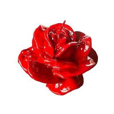 Cereria Di Giorgio Rosa lackerat ljus röd färg diameter 9 cm höjd 4,5 cm presentpåse hantverk Cereria Di Giorgio Rosa lackerat ljus röd färg diameter 9 cm höjd 4,5 cm presentpåse hantverk