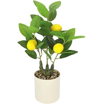 Flair Flower Konstgjord citronträd med frukter i kruka, 40 cm, konstgjord växt, konstträd, citrusträd, dekoration, dekorativt träd, fruktträd, konstgjord växt, inomhusväxt, miniprydnadsträd för vardagsrum, kontor Flair Flower Konstgjord citronträd med frukter i kruka, 40 cm, konstgjord växt, konstträd, citrusträd, dekoration, dekorativt träd, fruktträd, konstgjord växt, inomhusväxt, miniprydnadsträd för vardagsrum, kontor
