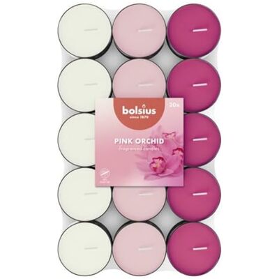 Bolsius - Orchid Tealight - 30 st - Ljus Bolsius - Orchid Tealight - 30 st - Ljus