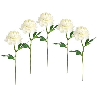 Flair Flower Konstgjorda blommor ranunkel set om 5 st 35 cm konstgjord som riktiga ranunkel blommor dekorationer blomdekoration vårblomma vårblommor påskdekoration silkesblommor enstaka blommor stjälkblommor Flair Flower Konstgjorda blommor ranunkel set om 5 st 35 cm konstgjord som riktiga ranunkel blommor dekorationer blomdekoration vårblomma vårblommor påskdekoration silkesblommor enstaka blommor stjälkblommor