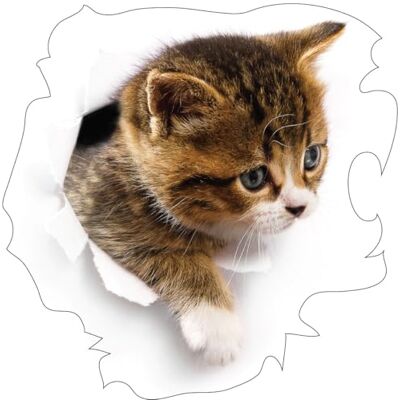 Ambiance Stickers Ambiance Väggklistermärke för sovrum, barnrum och vardagsrum katt med tanke på i gömningen H 45 x B 45 cm Ambiance Stickers Ambiance Väggklistermärke för sovrum, barnrum och vardagsrum katt med tanke på i gömningen H 45 x B 45 cm