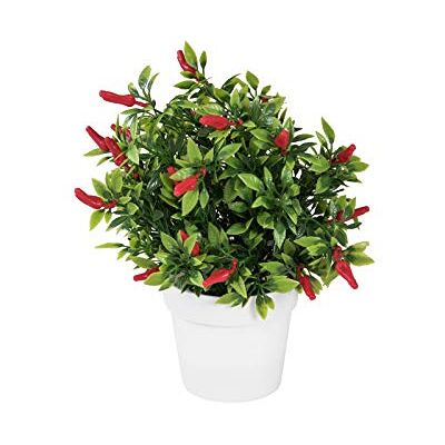 EUROPALMS 82506432 chili i vas, flerfärgad, en storlek EUROPALMS 82506432 chili i vas, flerfärgad, en storlek