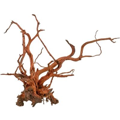Amtra Röd spindel kung trä XS storlek 10–25 cm akvarium naturligt trä dekoration, naturlig stam, dekorativa terrarium tillbehör Amtra Röd spindel kung trä XS storlek 10–25 cm akvarium naturligt trä dekoration, naturlig stam, dekorativa terrarium tillbehör