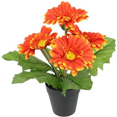 Flair Flower Konstgjord Gerbera i kruka 28 cm blomma dekoration dekorativ blomma desktop lans vår blomma konstgjord blomma växt växt tjusiga sidenblomma buske inomhusväxt Flair Flower Konstgjord Gerbera i kruka 28 cm blomma dekoration dekorativ blomma desktop lans vår blomma konstgjord blomma växt växt tjusiga sidenblomma buske inomhusväxt