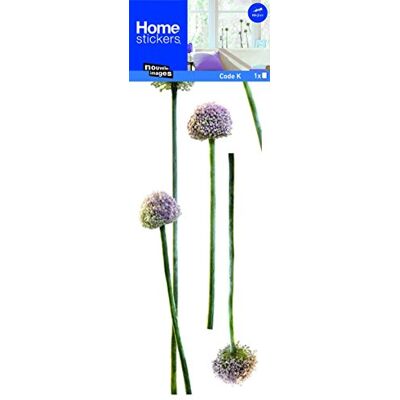 DRAEGER Fönsterklistermärke vitlök blommor DRAEGER Fönsterklistermärke vitlök blommor