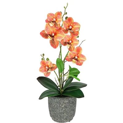 Flair Flower Konstgjord blomma fjärilsorkidé med blad och luftrötter i kruka av keramik konstgjord blomma konst orkidé Phalaenopsis med kruka syntetisk växt bröllop dekoration silke blomma verklig touch blomma Flair Flower Konstgjord blomma fjärilsorkidé med blad och luftrötter i kruka av keramik konstgjord blomma konst orkidé Phalaenopsis med kruka syntetisk växt bröllop dekoration silke blomma verklig touch blomma