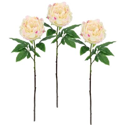 Flair Flower Konstgjord blomma peoni bondros pioner gren enkel blomma stjälkblomma blommablommor växt för konstgjorda blommor buketter och buketter blomsterarrangemang dekorativ blomma, set om 3, persika Flair Flower Konstgjord blomma peoni bondros pioner gren enkel blomma stjälkblomma blommablommor växt för konstgjorda blommor buketter och buketter blomsterarrangemang dekorativ blomma, set om 3, persika