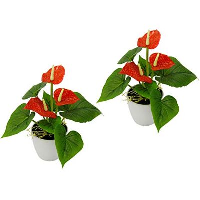 Flair Flower Mini Anthurie i grytan, 2-pack, röd, konstblomma, flamingo, konstgjord växt, polyester, plast, 20 cm hög, 16 cm bred Flair Flower Mini Anthurie i grytan, 2-pack, röd, konstblomma, flamingo, konstgjord växt, polyester, plast, 20 cm hög, 16 cm bred